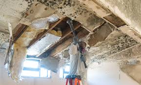 Asbestos and Lead Testing During Mold Inspection in Harrisburg, AR